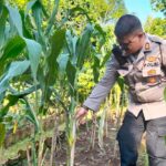 WhatsApp Image 2025-04-16 at 10.19.41 (1)