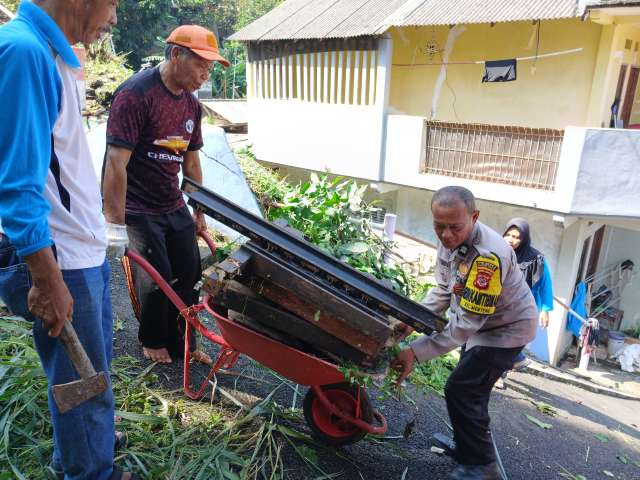 WhatsApp Image 2025-05-13 at 13.03.06_07427e4a