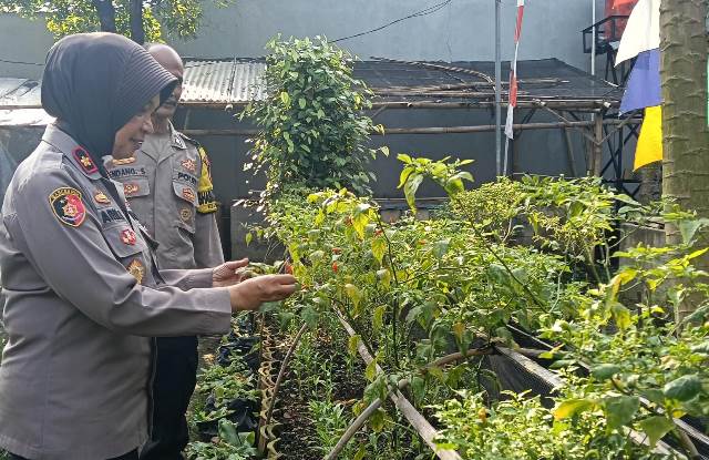 WhatsApp Image 2025-07-17 at 11.32.34 (1)