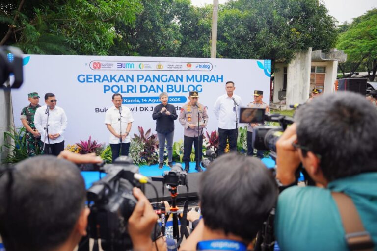 WhatsApp Image 2025-08-14 at 16.38.11