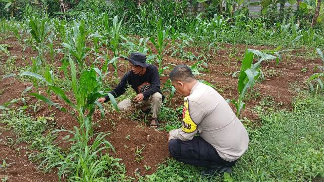 WhatsApp Image 2025-09-19 at 12.23.23