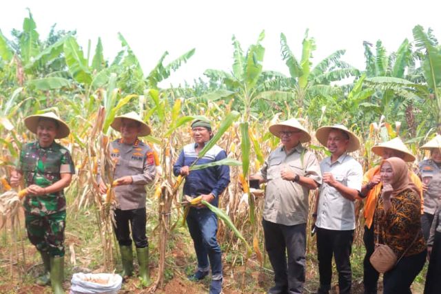 WhatsApp Image 2025-09-27 at 13.23.59