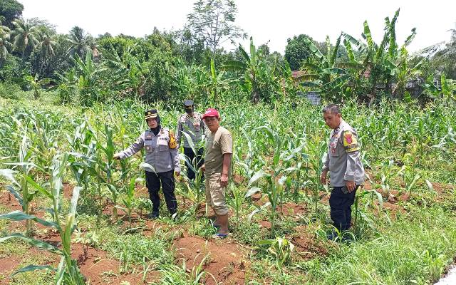 WhatsApp Image 2025-10-02 at 11.26.18