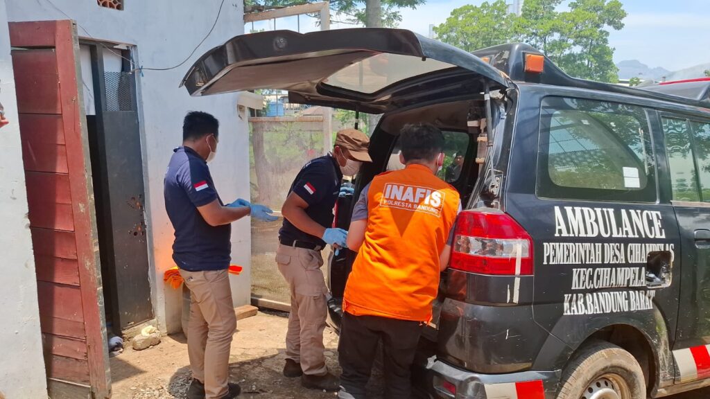 WhatsApp Image 2025-10-05 at 18.22.21