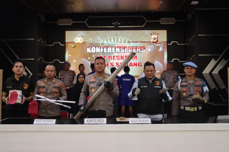 WhatsApp Image 2025-10-08 at 16.48.13