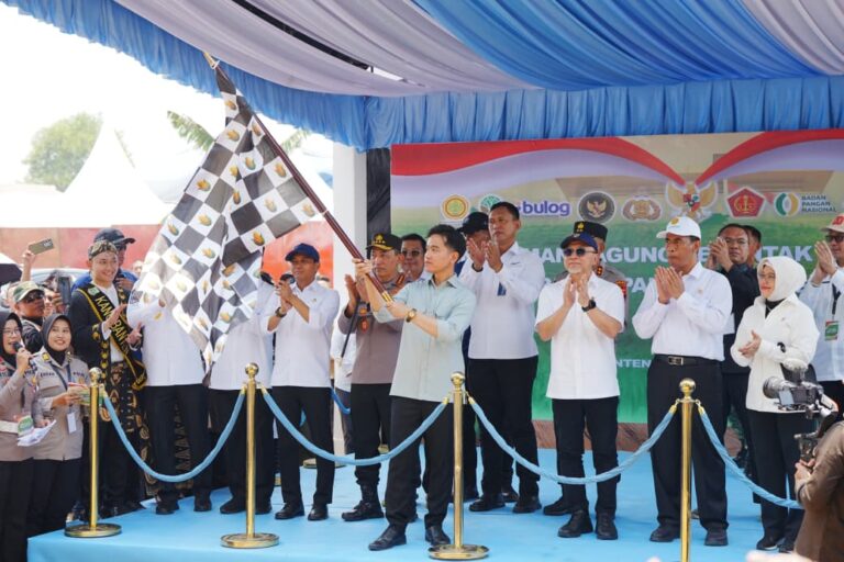 WhatsApp Image 2025-10-08 at 18.10.54