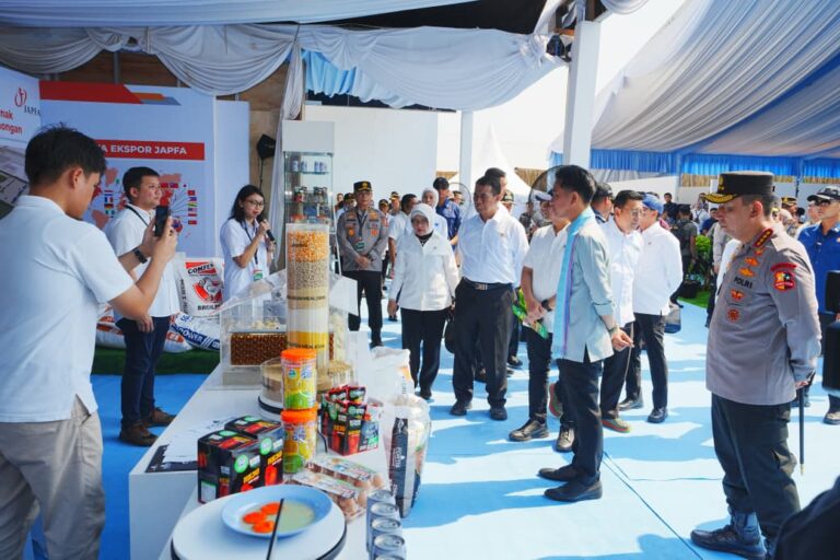 WhatsApp Image 2025-10-08 at 18.12.37