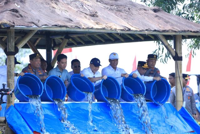 WhatsApp Image 2025-10-09 at 11.39.31