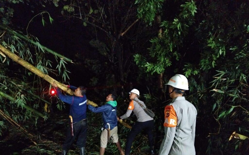 WhatsApp Image 2025-11-02 at 18.30.13