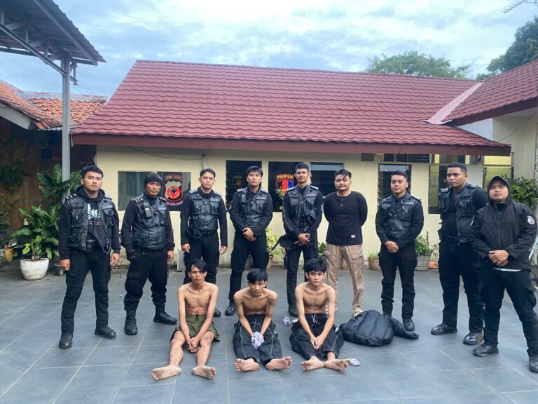 WhatsApp Image 2025-11-16 at 19.49.24