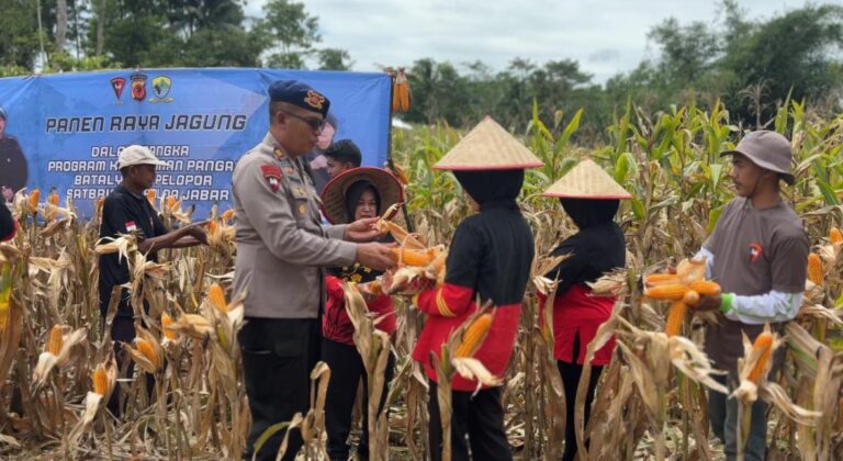 WhatsApp Image 2025-11-25 at 17.02.15