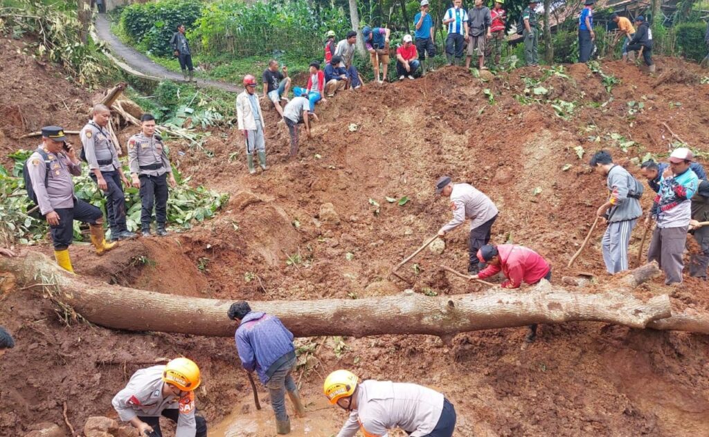 WhatsApp Image 2025-12-08 at 18.24.16_7f7432f8