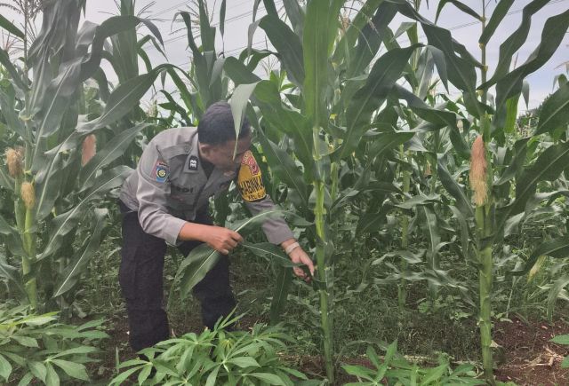 WhatsApp Image 2025-12-09 at 05.56.56