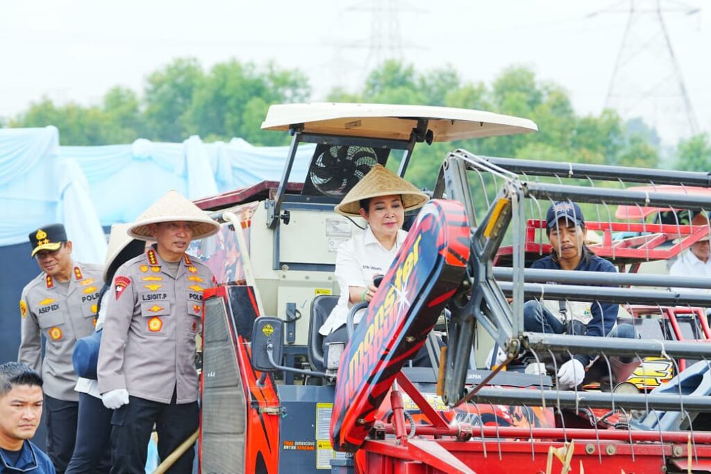 WhatsApp Image 2026-01-08 at 17.55.54