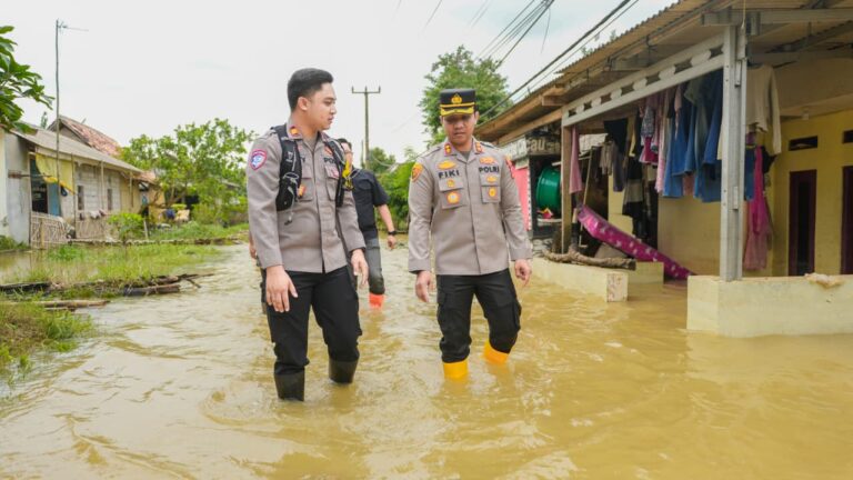 WhatsApp Image 2026-01-20 at 18.53.50