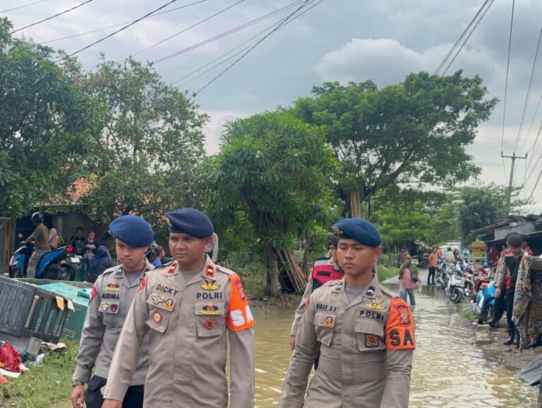 WhatsApp Image 2026-01-20 at 19.56.32