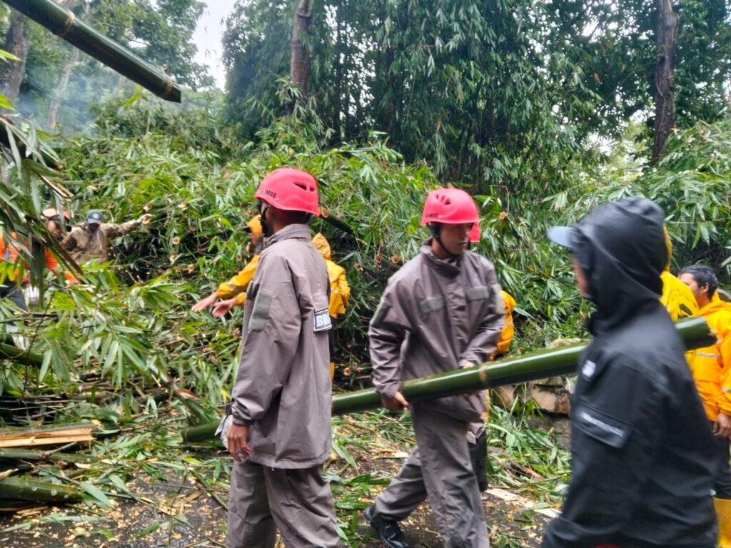 WhatsApp Image 2026-01-24 at 20.28.42