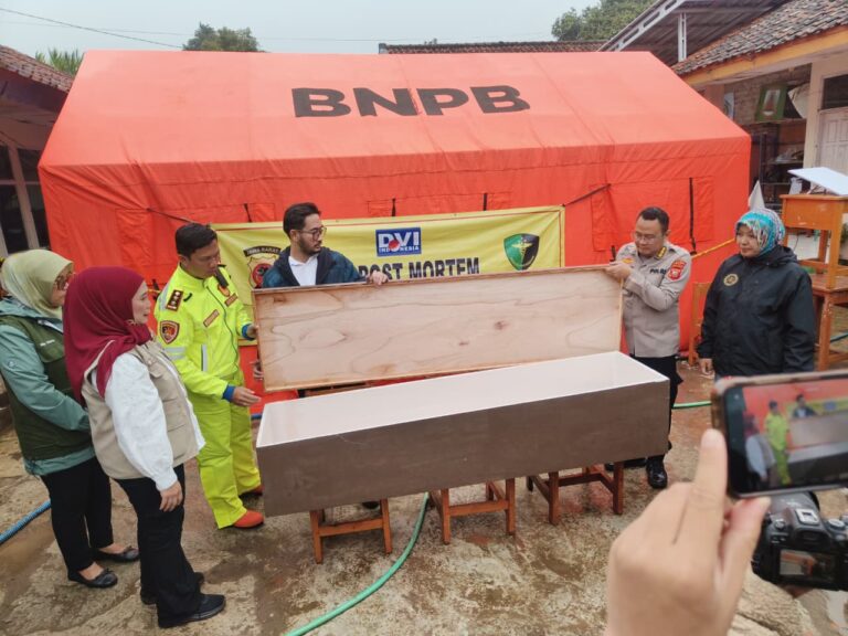 WhatsApp Image 2026-01-28 at 19.27.24