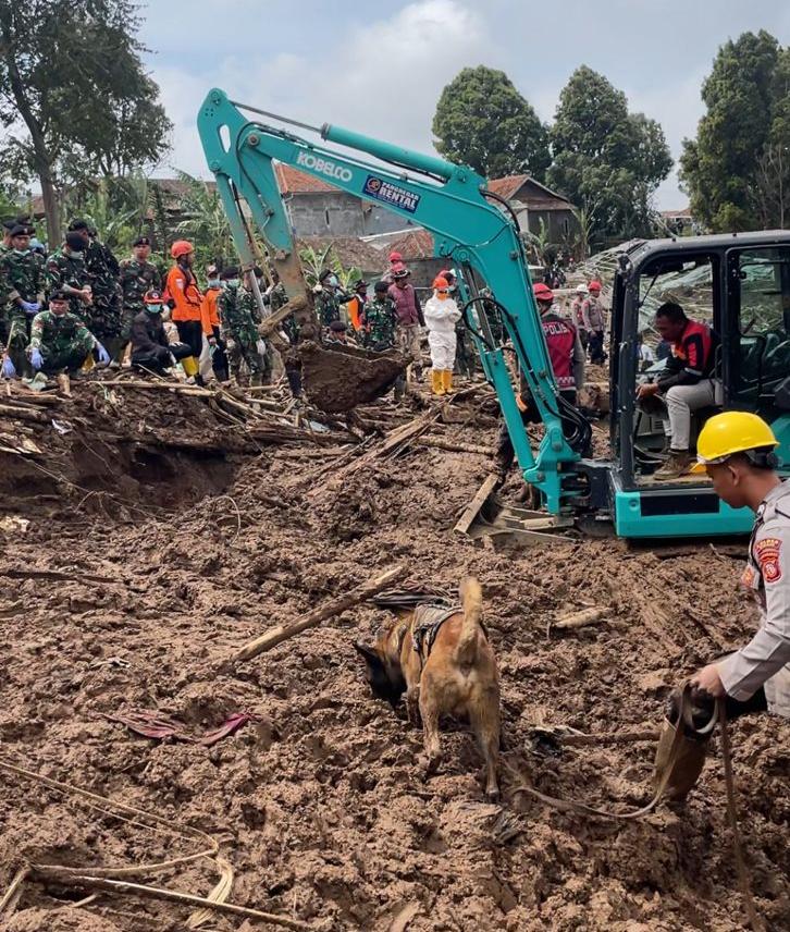 WhatsApp Image 2026-01-28 at 19.27.41