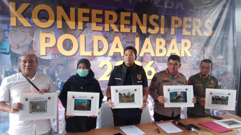 WhatsApp Image 2026-01-30 at 16.51.41