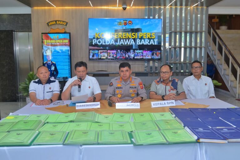 WhatsApp Image 2026-02-02 at 17.45.24