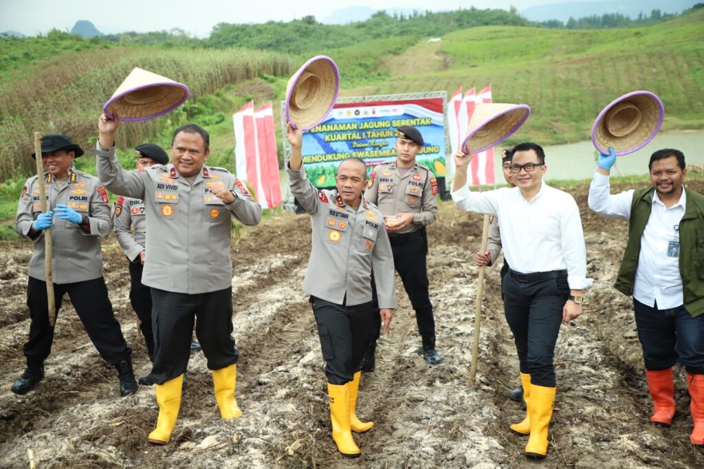 WhatsApp Image 2026-03-08 at 19.33.59