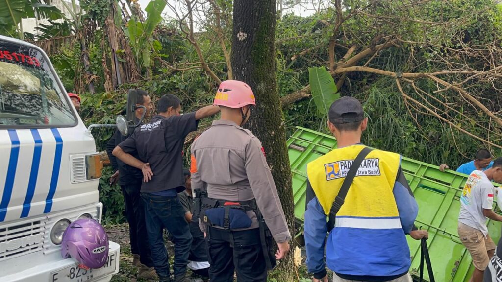 WhatsApp Image 2026-04-05 at 21.08.01