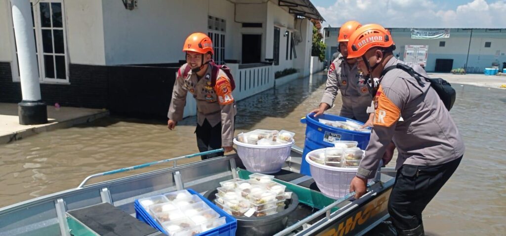 WhatsApp Image 2026-04-14 at 18.03.22 (1)